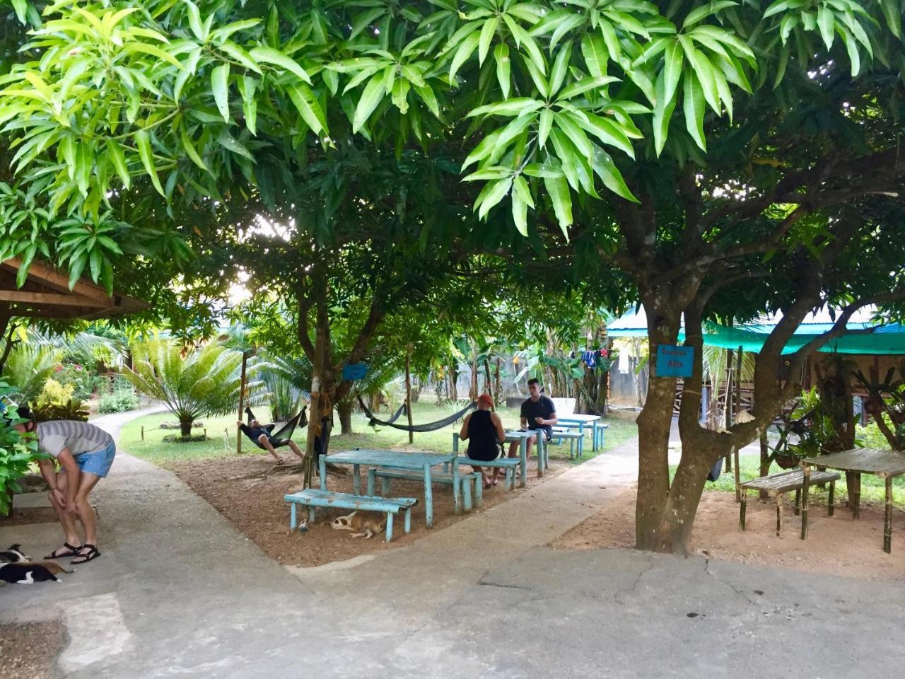 Fat Monkey Hostel Coron Exteriér fotografie
